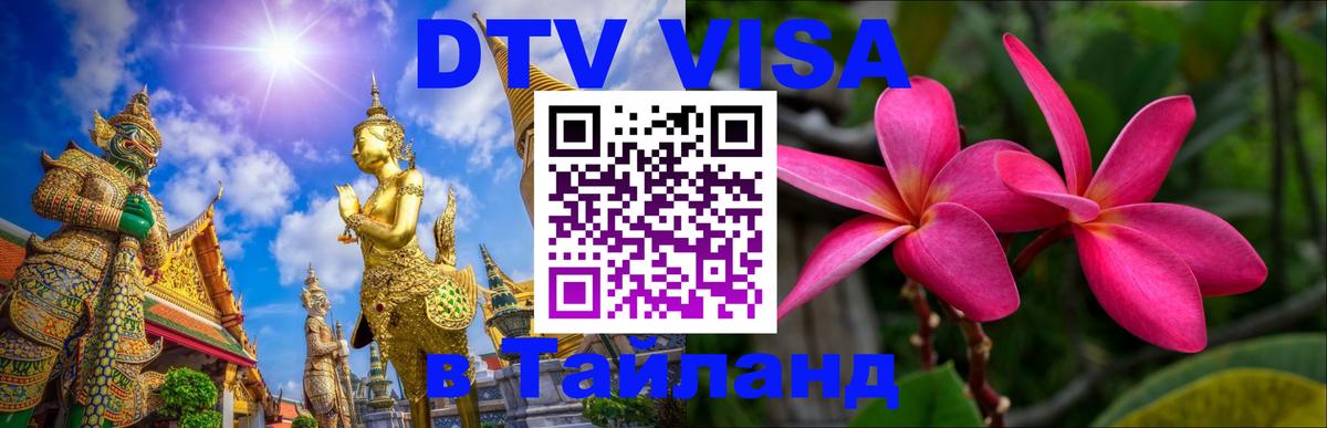 Сколько стоит DTV виза — актуальные цены, оформление даже без документов - 18.11.2025 
